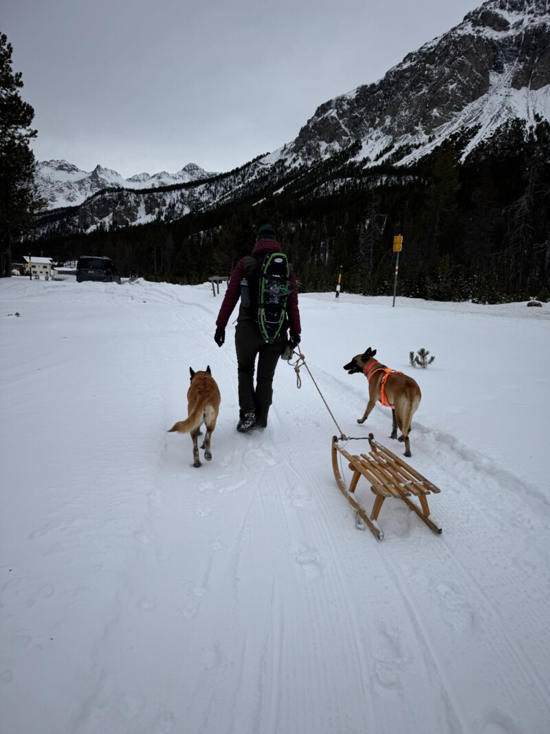 IMG-20241207-WA0036