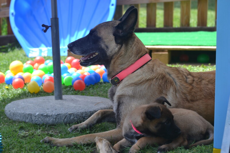 DSC_3274-scaled