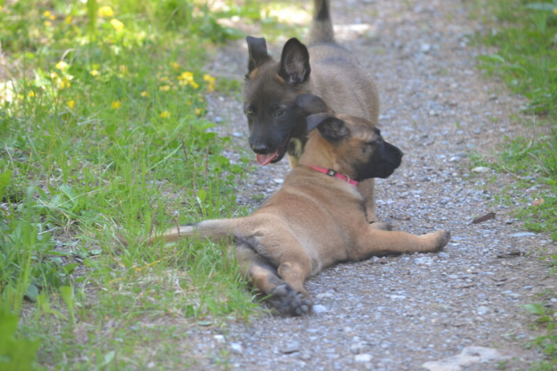 DSC_3661-scaled