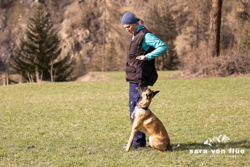 IMG-20230430-WA0015