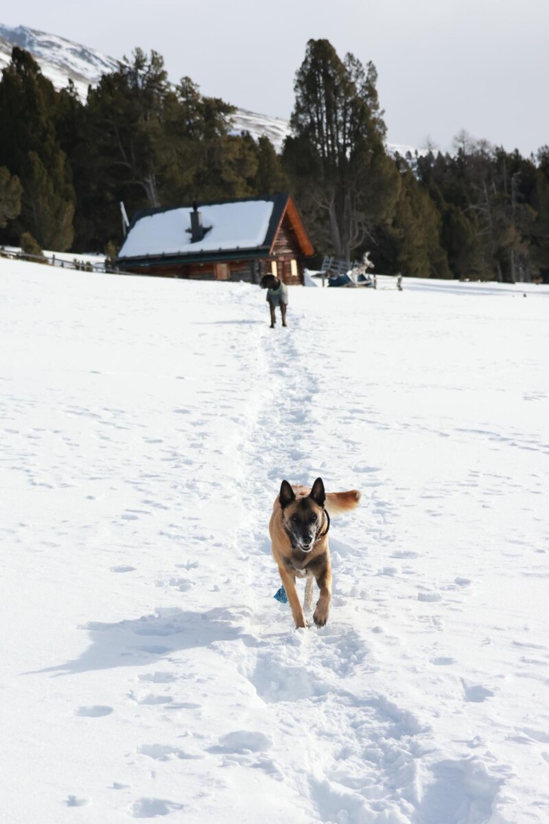 IMG-20250119-WA0042