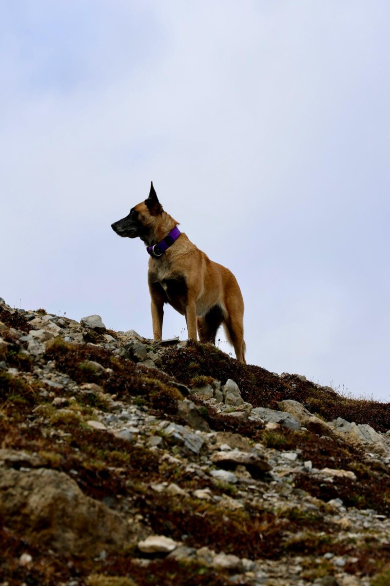 IMG-20241027-WA0222