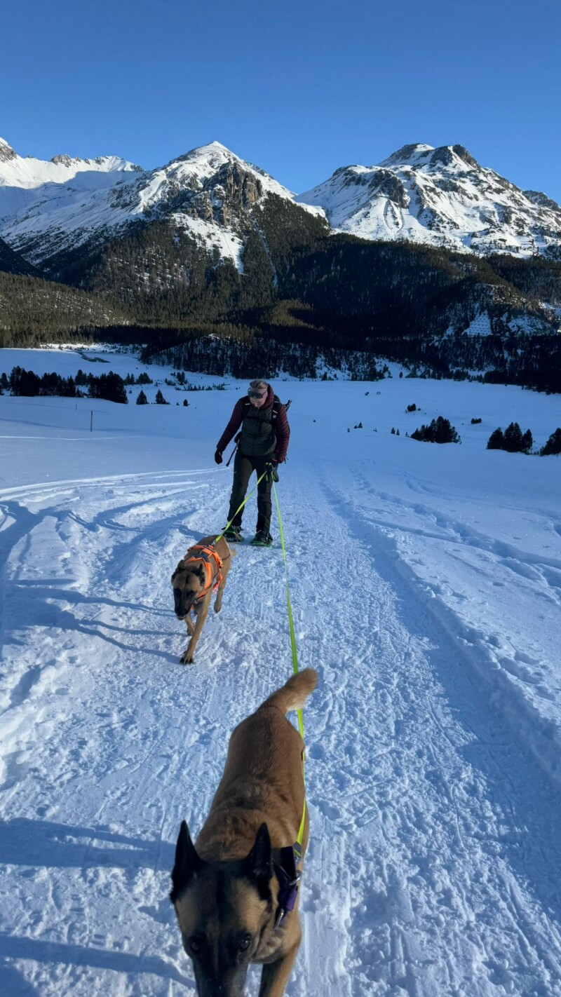 IMG-20241229-WA0007