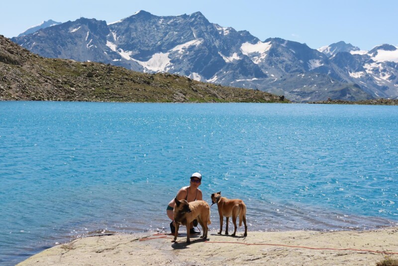 IMG-20240729-WA0235