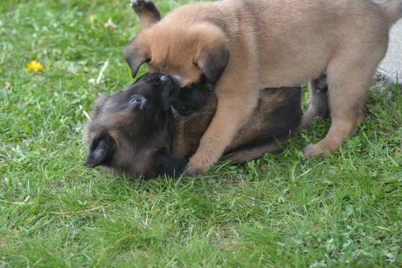 DSC_3198-scaled