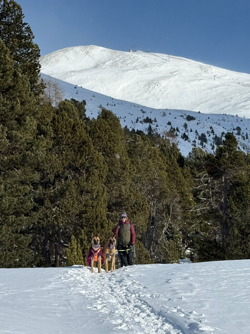 IMG-20250112-WA0230